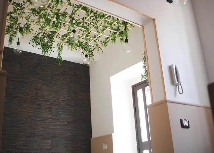 That\'S Amoro House